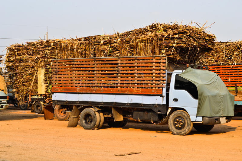 sugarcane truck thailand 24472309